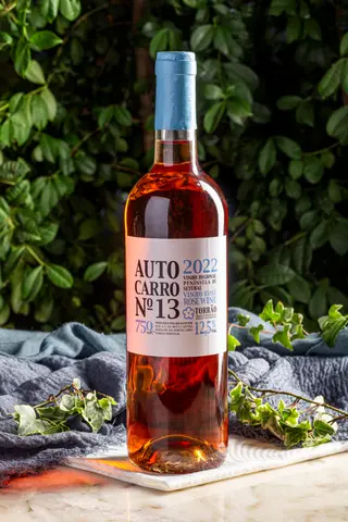 Autocarro 13 Rose