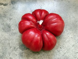 Свічка Томат M