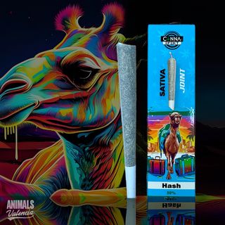 Preliado Hash 80% NL1 