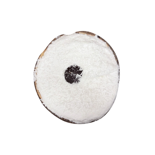 Gelato al cocco
