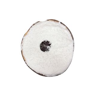 Gelato al cocco