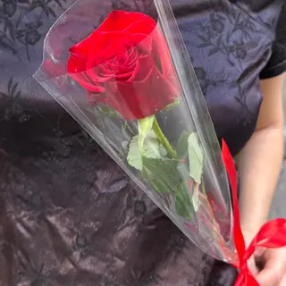 ROSA ROJA
