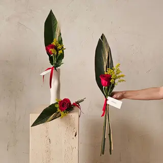 Pack de 3 rosas de Sant Jordi
