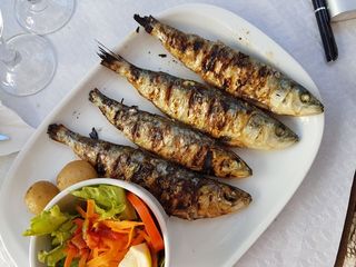 Sardina a la brasa