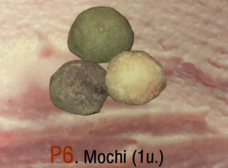 p6.Mochi (1U.)