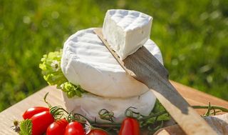 CAMEMBERT DI BUFALA 250g (7056)
