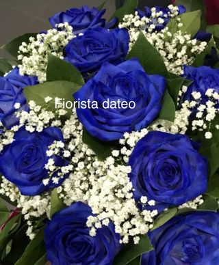 Rosa blu 9 pezzi 
