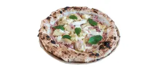 Fiocco