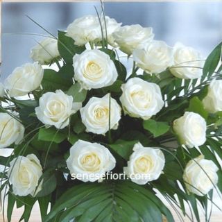 Bouquet 5 Rose bianche