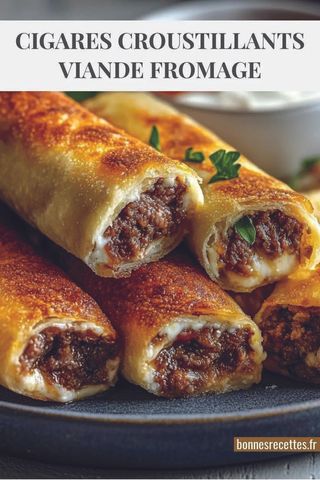 Brik con carne macinata