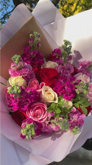 ვარდი მატიოლა 