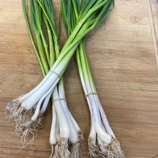 Ajos Tiernos 3 Manojos