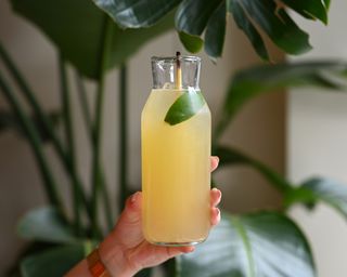 Lemongrass & Lime Lemonade