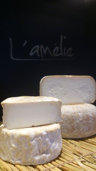 Luna Nueva Mini Unidad