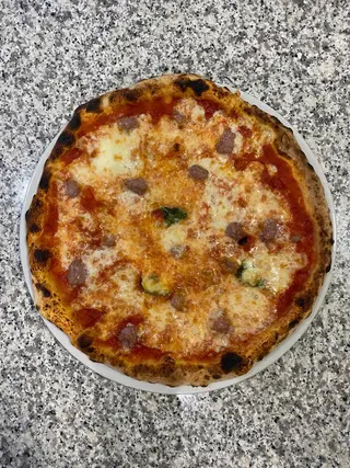 Sarda