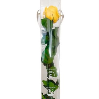 Rosa Eterna Amarilla