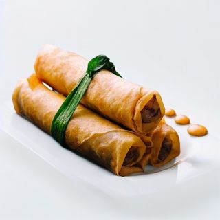 Salmon Spring Rolls