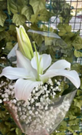 Fleurs De Lys