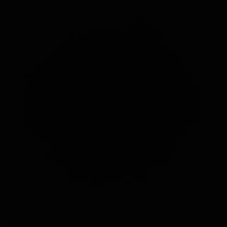 Carne cu zece feluri de legume