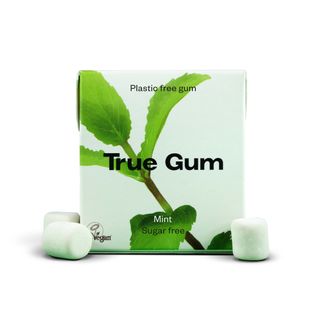 TRUE GUM MINT Guma Menta