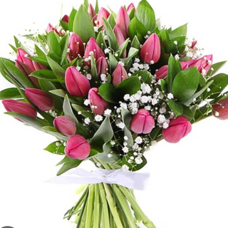 Bukiet 25 tulipanów Barcelona z gipsówką 