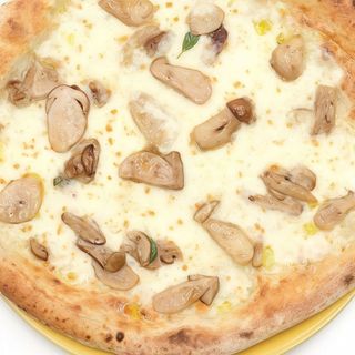 Funghi Porcini - maxi