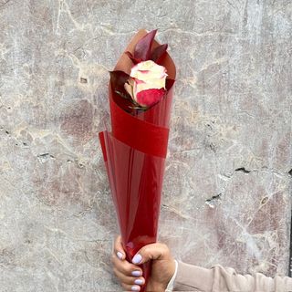 Rosa Rojo/Blanco Unidad