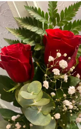 Dos rosas rojas