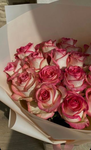 ომბრე ვარდისფერი ვარდები