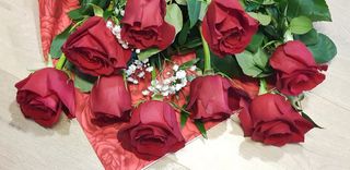 Una rosa rossa con mimosa