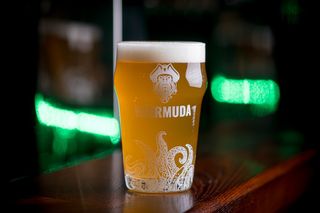 Пиво Nordic Pils 1 л