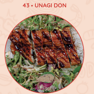 43 | Unagi Don