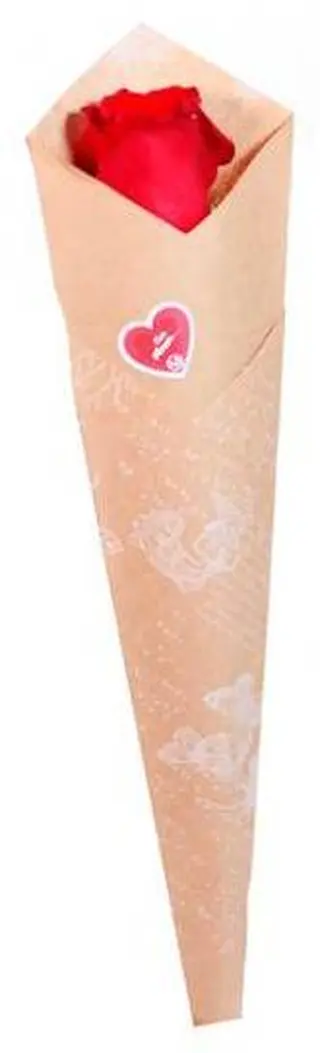 Rosa Vermelha
