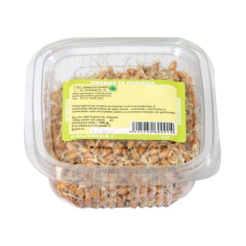 Salate și verdețuri