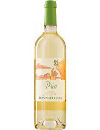 Catarratto 'prio' - Donnafugata 2019 12,50% Vol