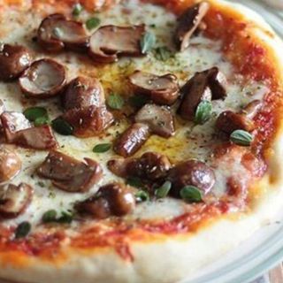 Porcini
