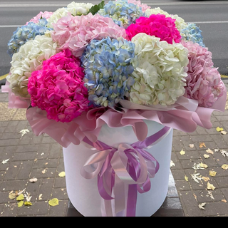 Букет из 21 гортензіі 