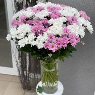 Хризантема в ассортименті, 1 шт