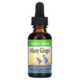 Minty Ginger Health