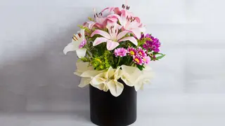 Box 4