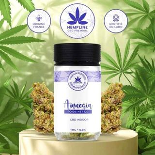 Flor CBD Amnésia 12g Hempline