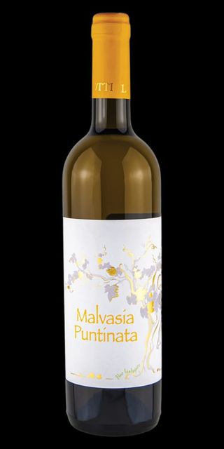 Malvasia Puntinata