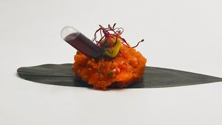 224 - Tartare salmone