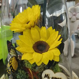 Cupula cristal girasoles 