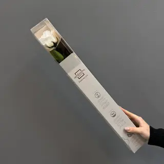 Una rosa larga ( blanca ) preservada  