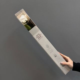 Una rosa larga ( blanca ) preservada  