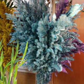 Pampas Sèches vert turquoise x3