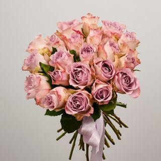 21 троянда Memory Lane (Кенія)