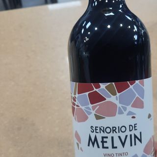 Botella Vino (TINTO)