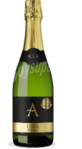 Cava Aula Brut (75 Cl.)